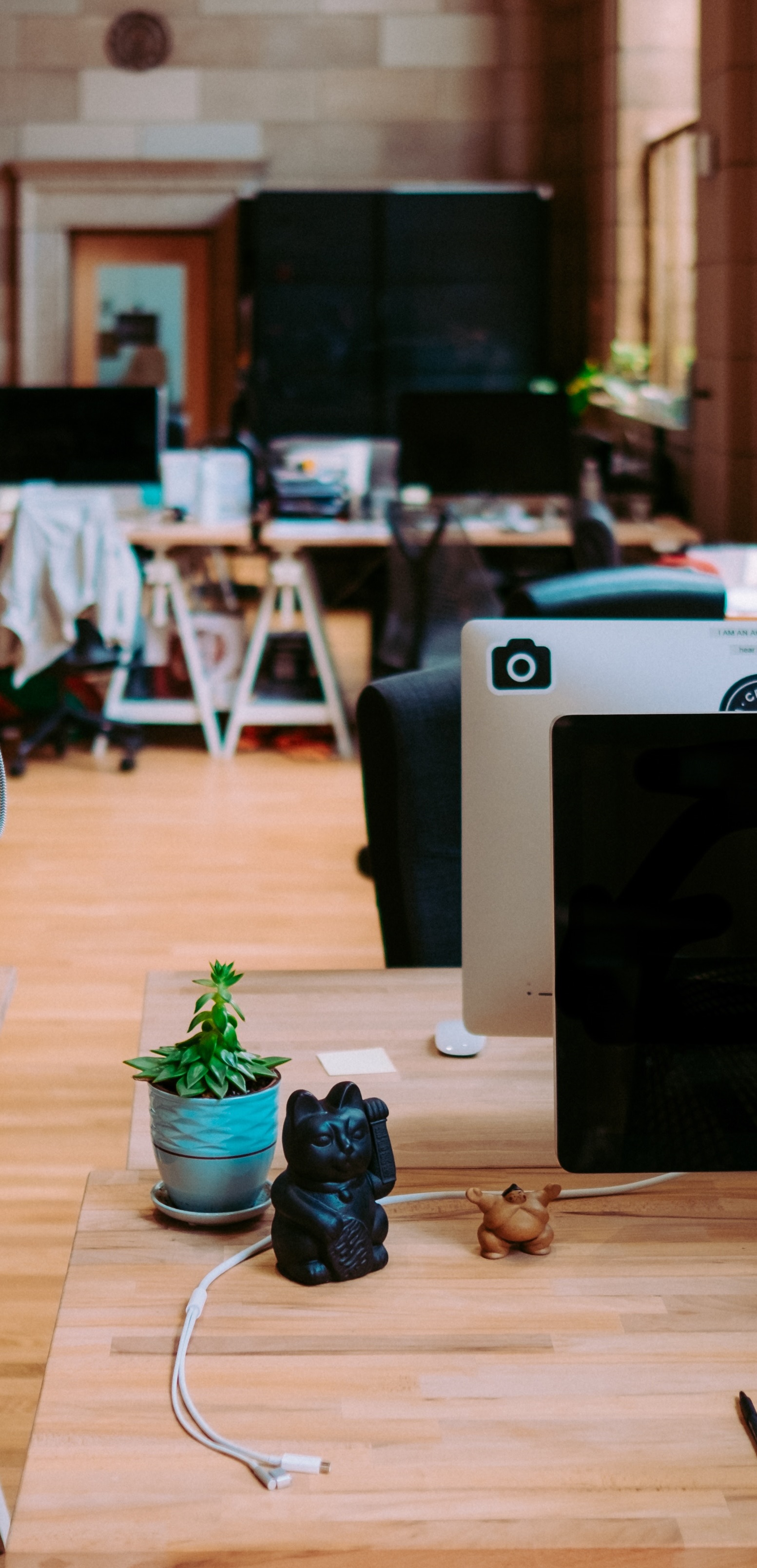 images/banner-images/annie-spratt-294450 (1).jpg